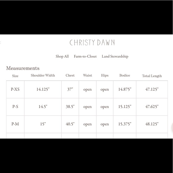 Christy Dawn The Della Dress I’m Carnelian Aster Garden Size XSP - Picture 7 of 7